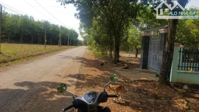 3858841 ảnh đại diện 1