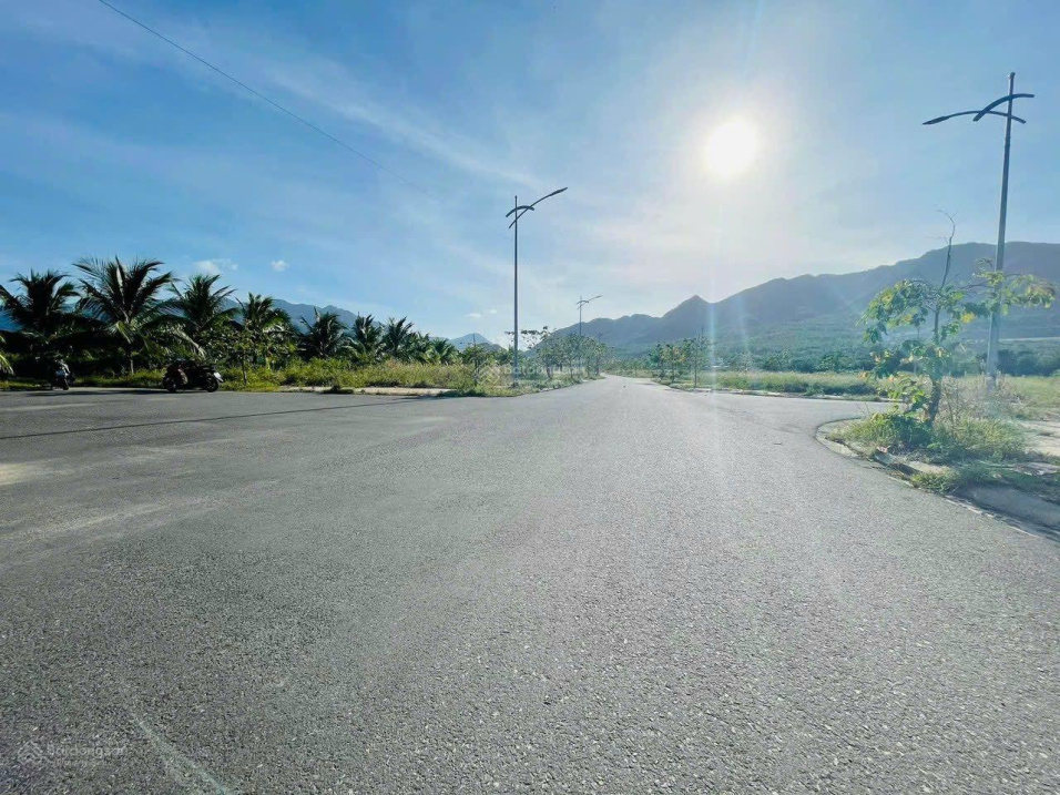 3861241 ảnh đại diện 1
