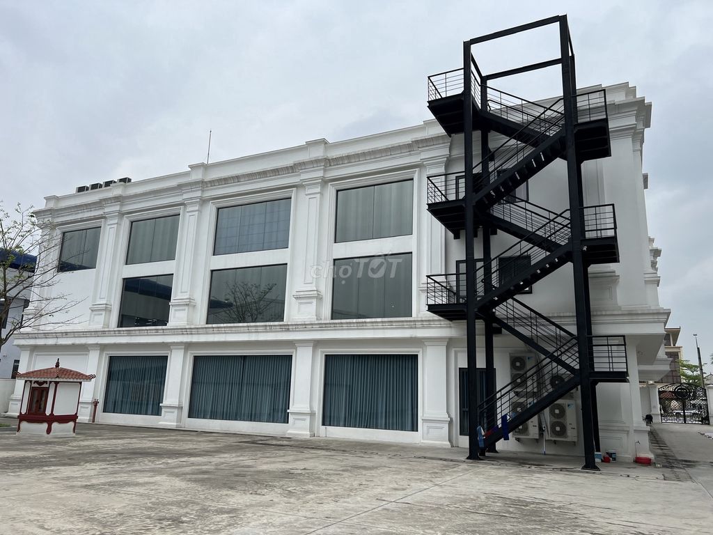 3857332 ảnh đại diện 1