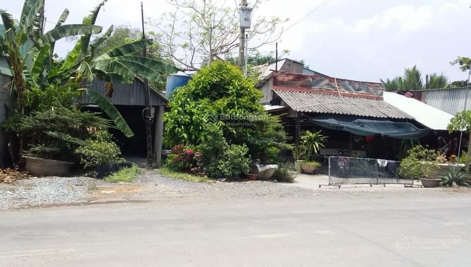 3866367 ảnh đại diện 2