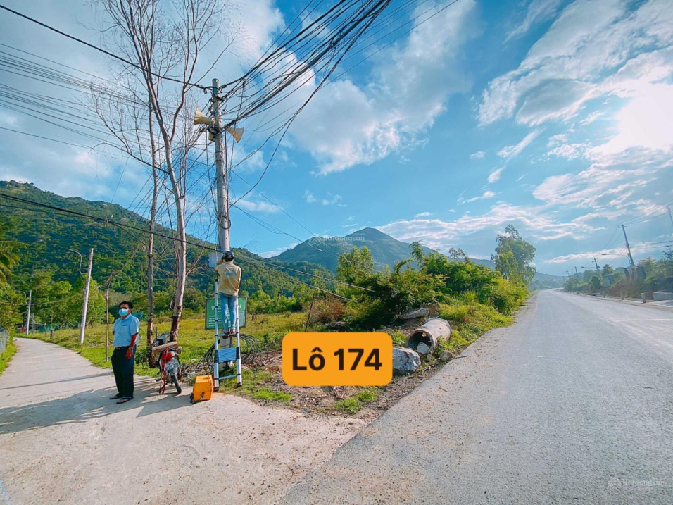 3867763 ảnh đại diện 1