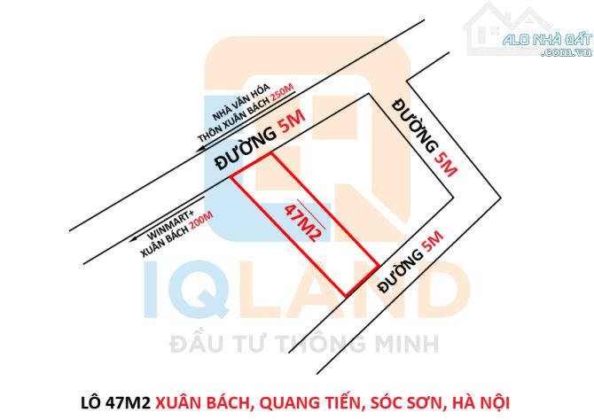 3865108 ảnh đại diện 1