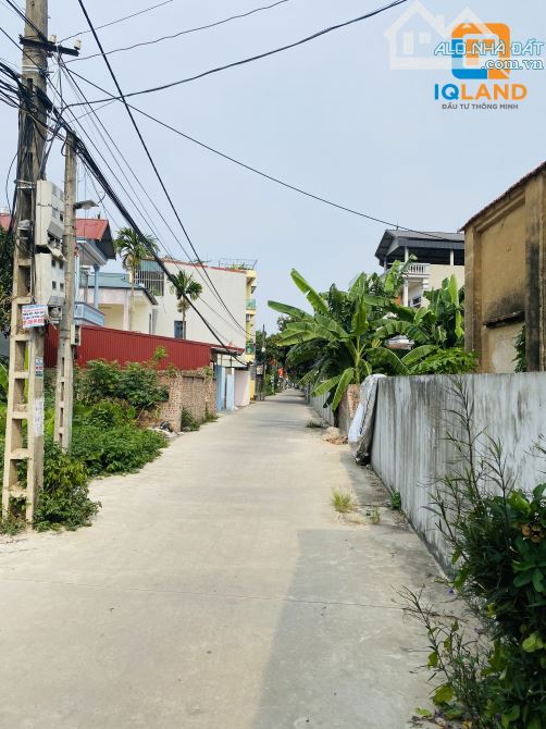 3865108 ảnh đại diện 2