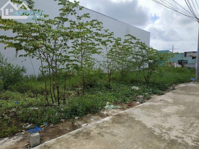 Bán Đất Cần Giuộc Long An 2 Mặt Tiền , Giá Siêu Rẻ.