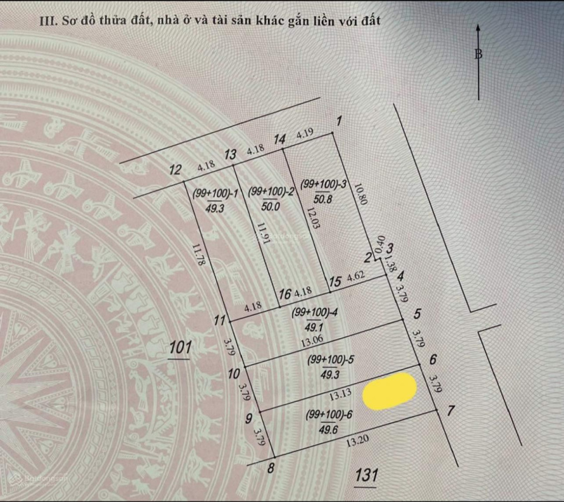 3865993 ảnh đại diện 1