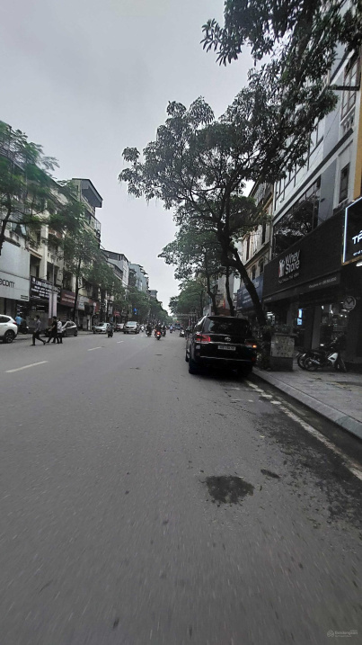 3865515 ảnh đại diện 2
