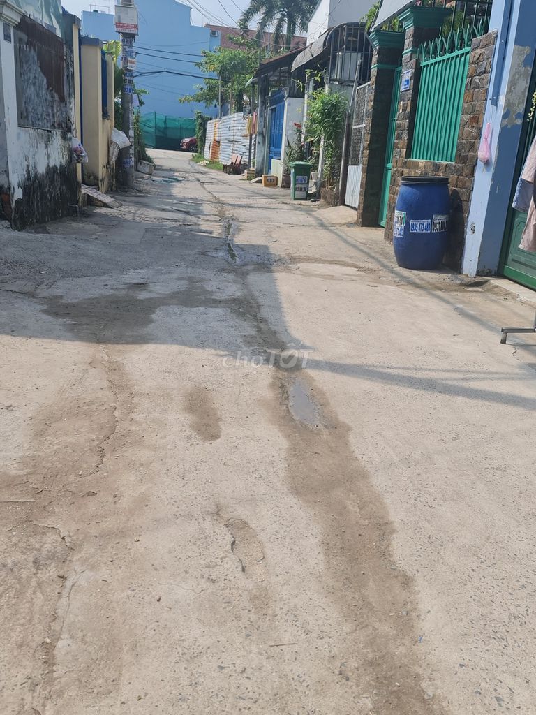 3873303 ảnh đại diện 1