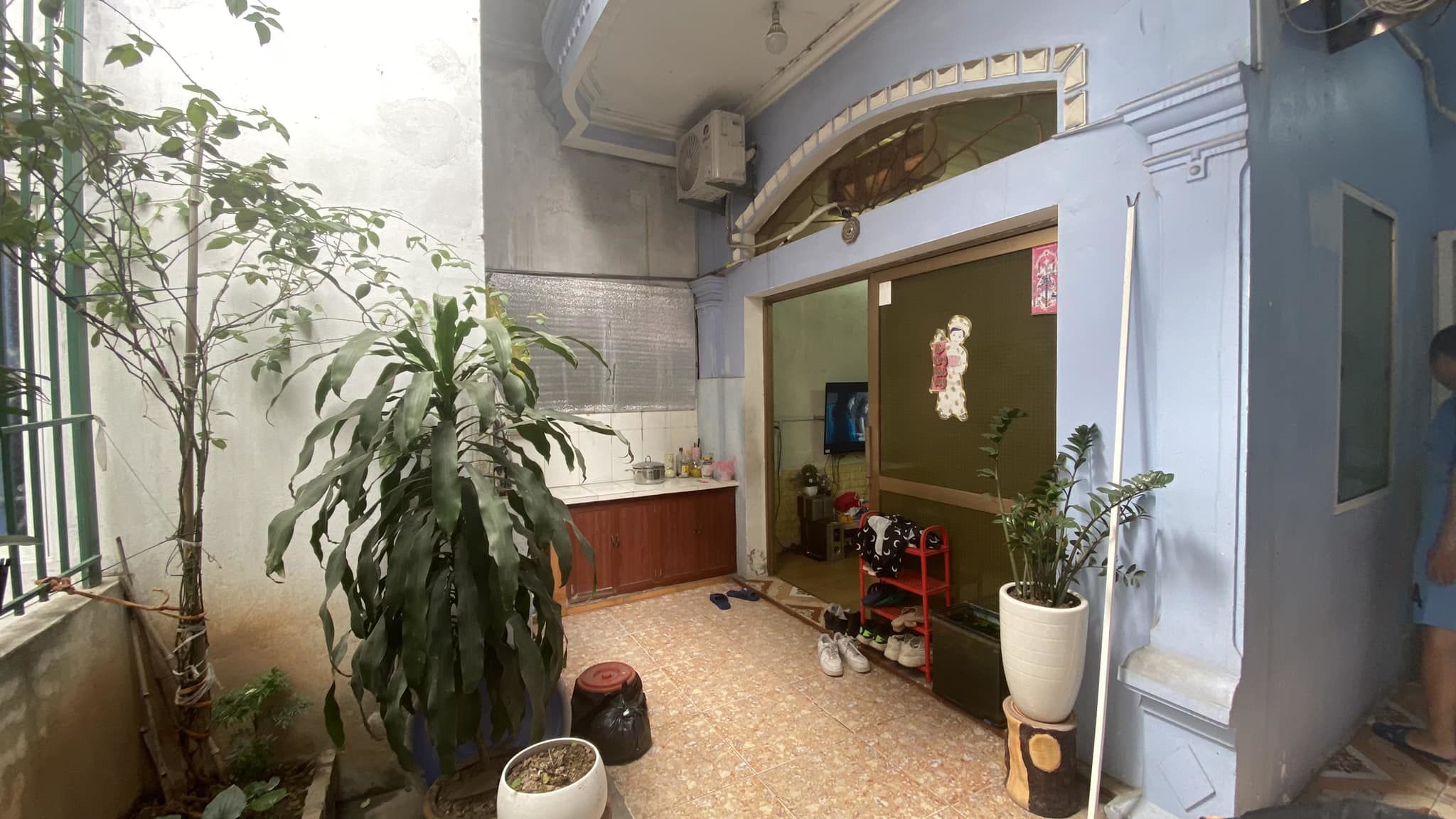 3874109 ảnh đại diện 2