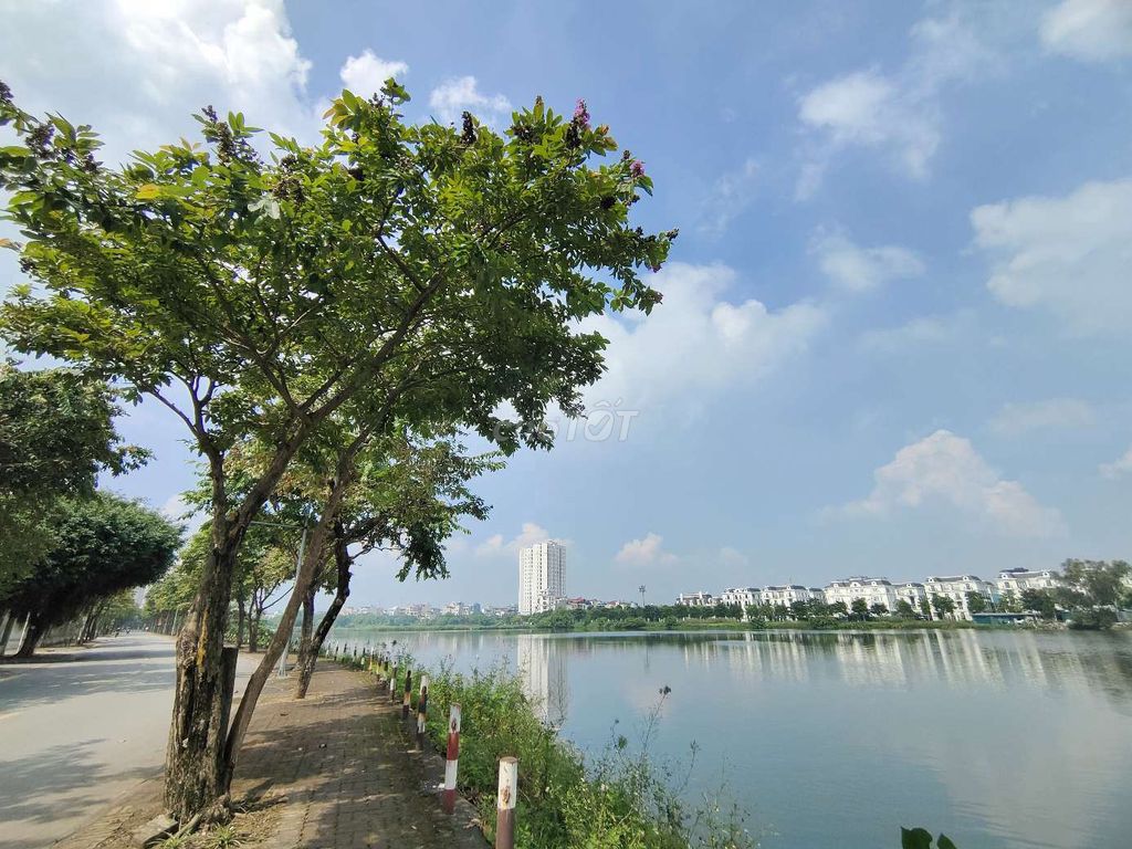 3870712 ảnh đại diện 1