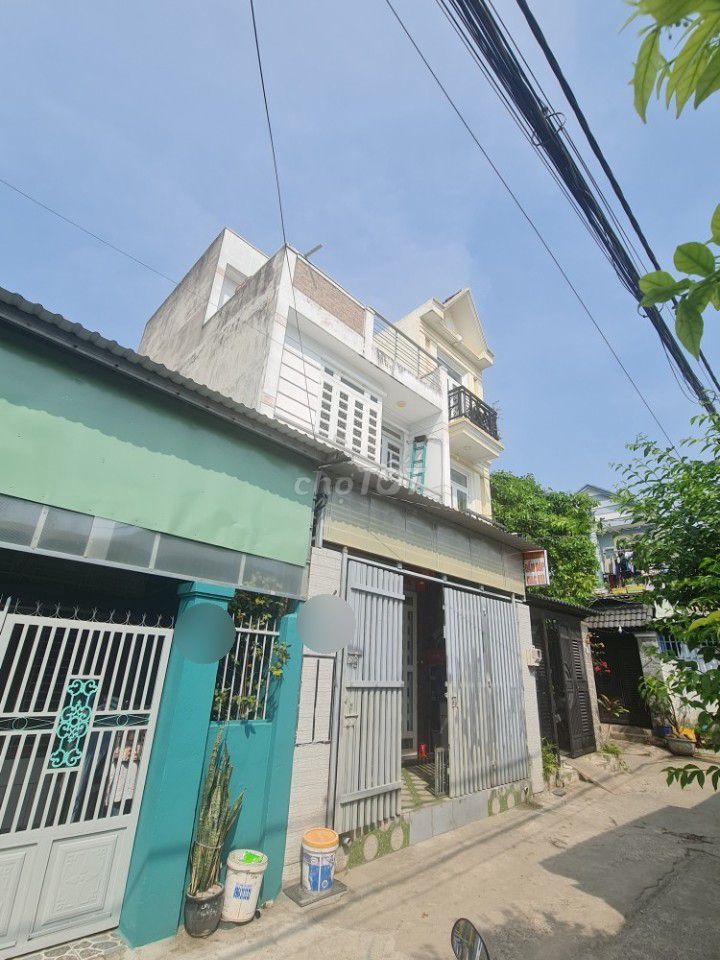 3873303 ảnh đại diện 2