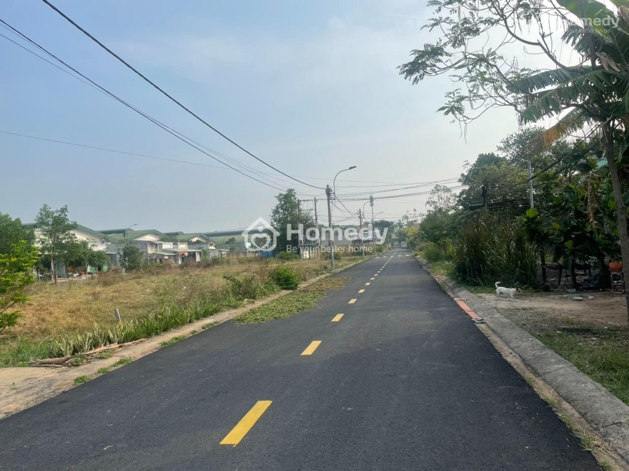 3874310 ảnh đại diện 2