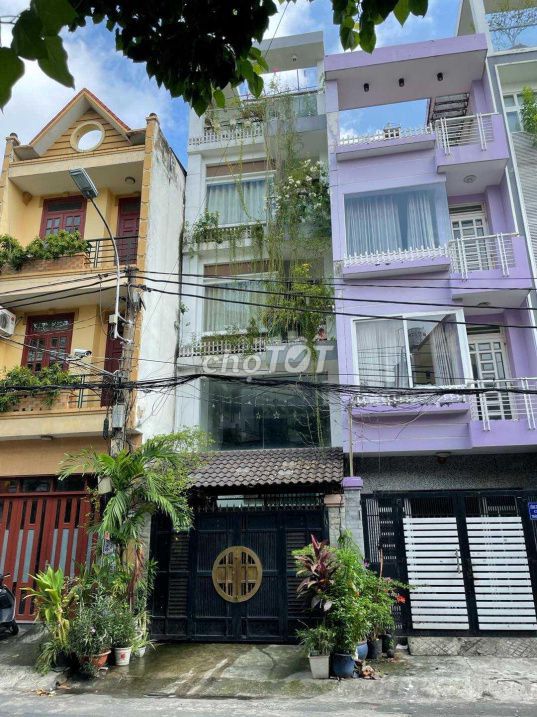 3871338 ảnh đại diện 1