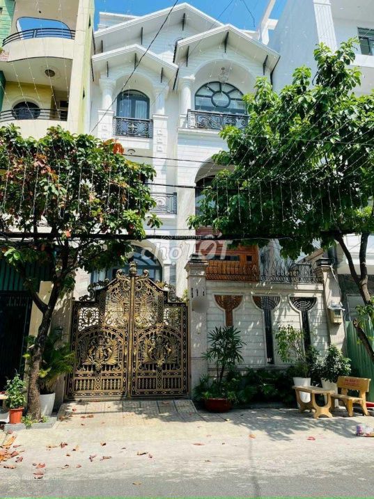 3871336 ảnh đại diện 1