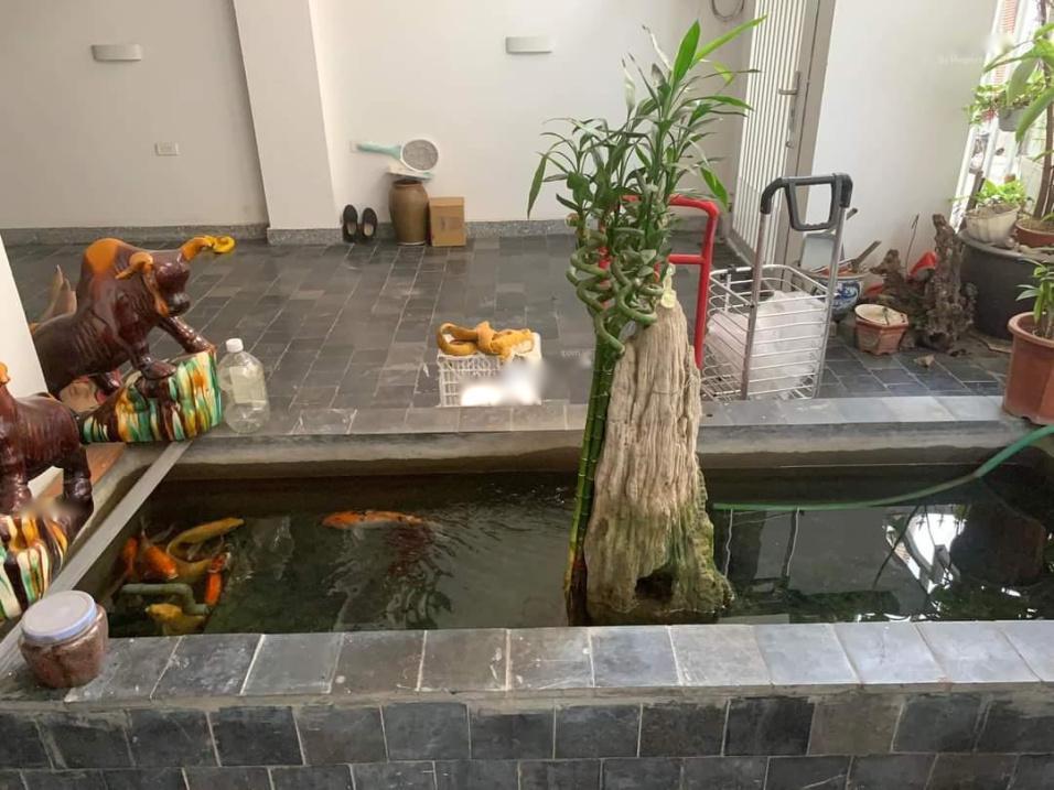 Chuyển Nhượng Căn Nhà Đẹp 8 Tầng, 101 M2, Mặt Tiền 7M Tại Đường Tứ Liên - Tây Hồ, Giá 27.5 Tỷ