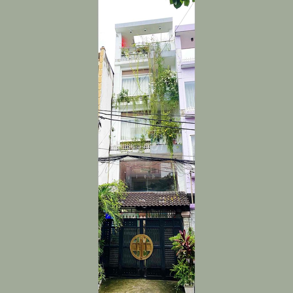 3871318 ảnh đại diện 1