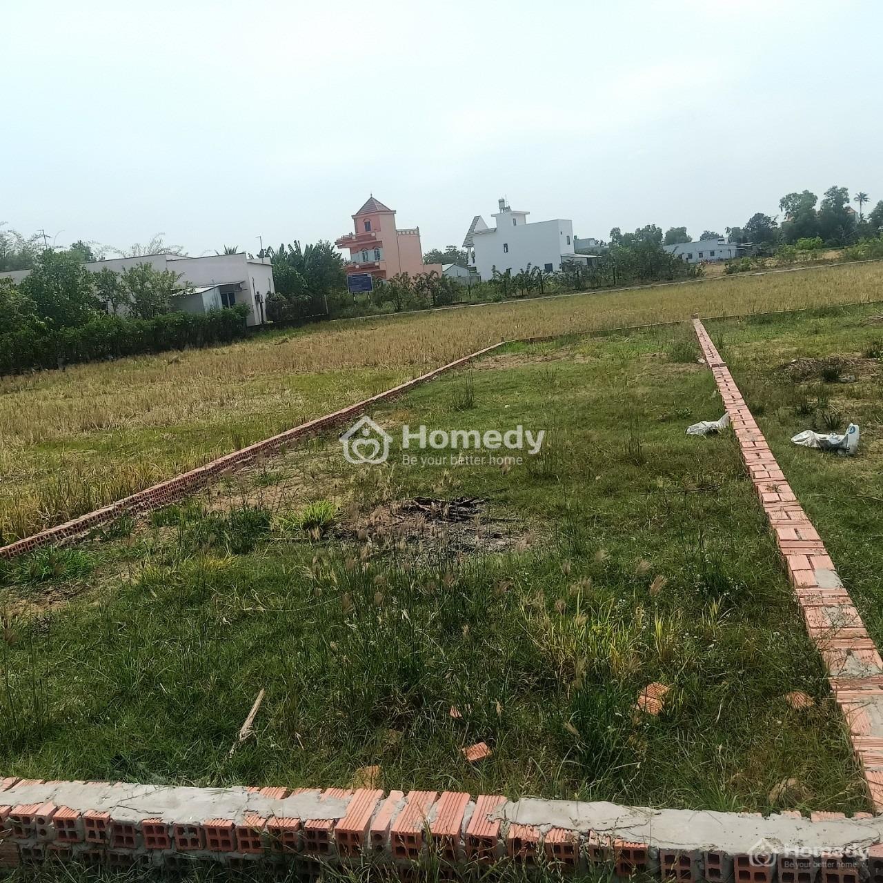 3874310 ảnh đại diện 1