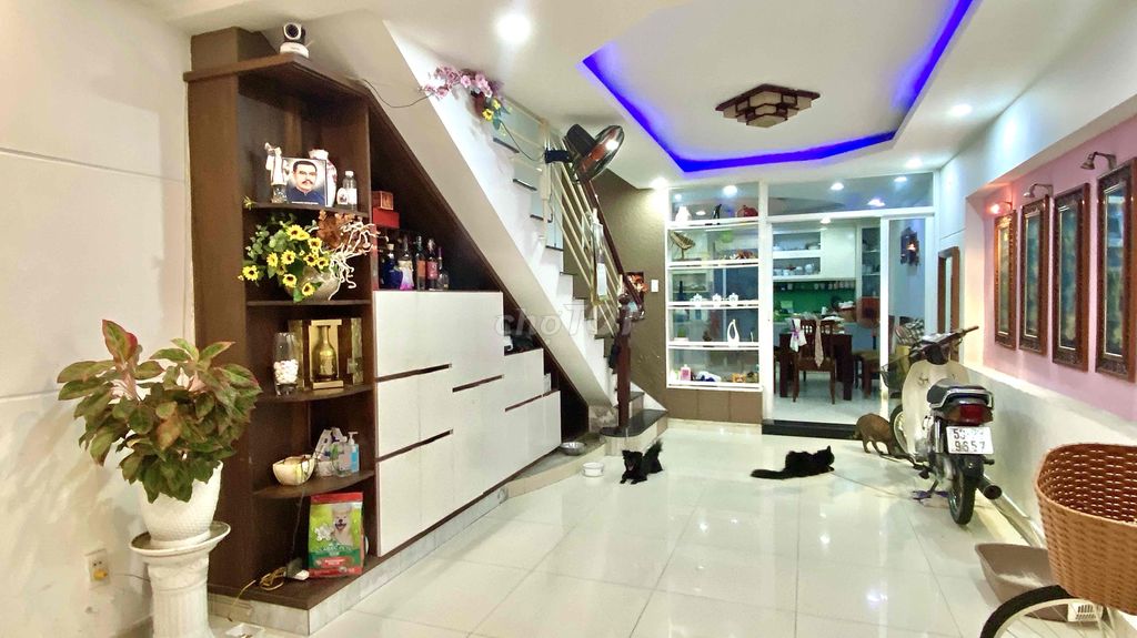 3871318 ảnh đại diện 2
