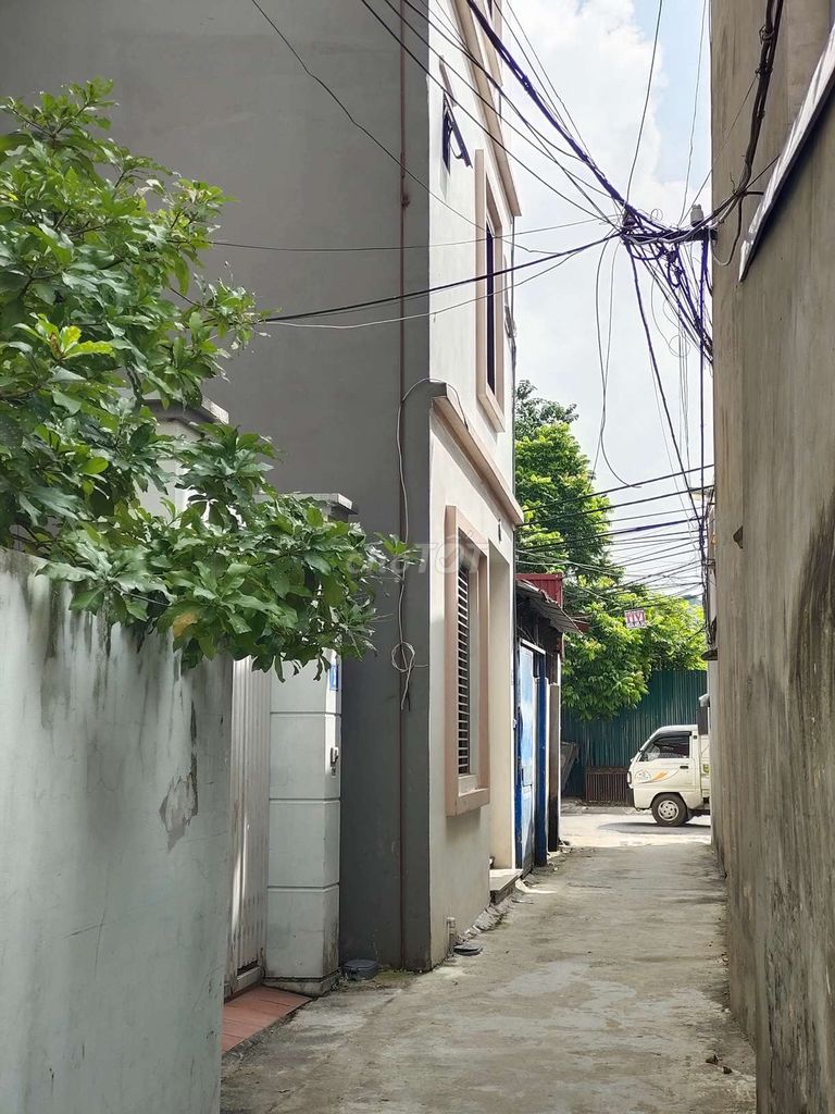 3870712 ảnh đại diện 1