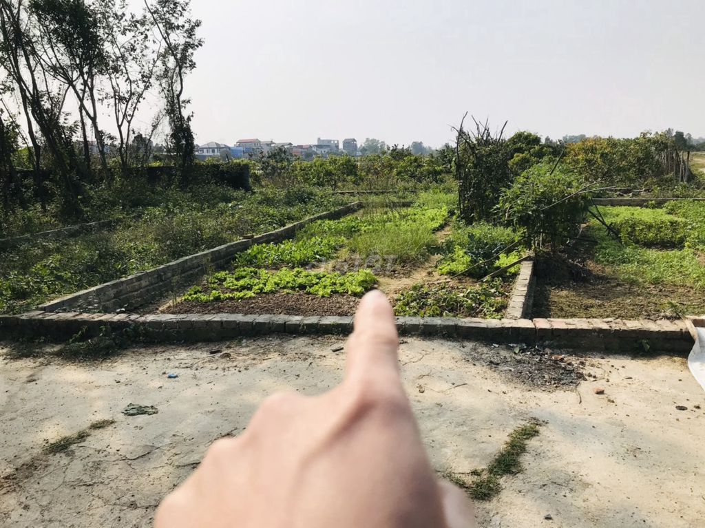 3875689 ảnh đại diện 1