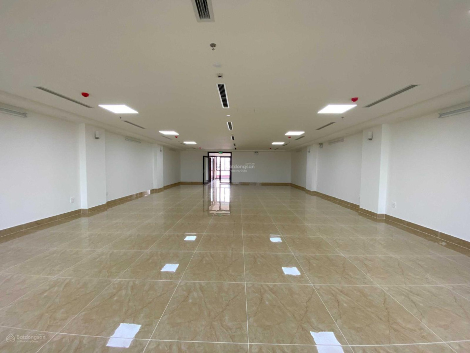 3877019 ảnh đại diện 1