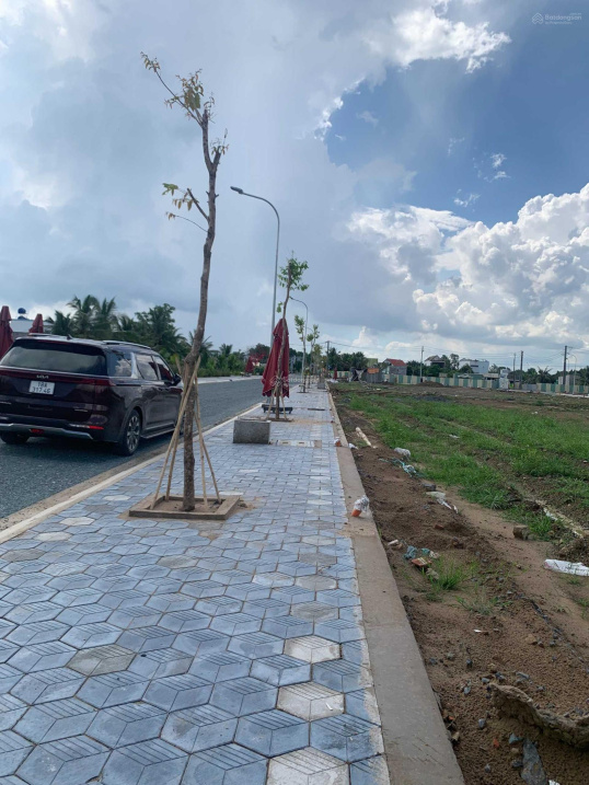 3876218 ảnh đại diện 1
