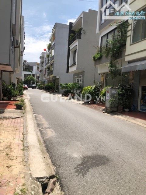 3875481 ảnh đại diện 1