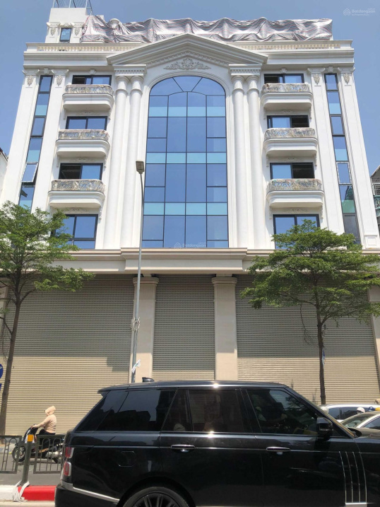 3877019 ảnh đại diện 1