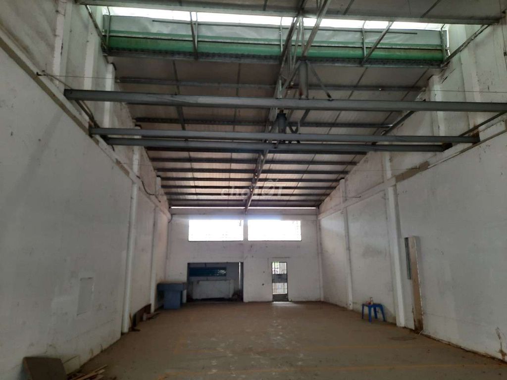3876375 ảnh đại diện 1