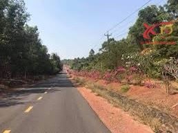 3875552 ảnh đại diện 1