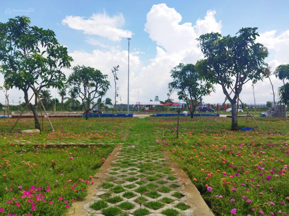 3876218 ảnh đại diện 1