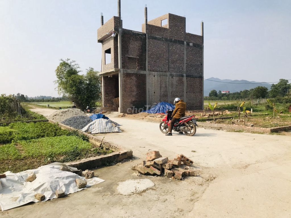 3875689 ảnh đại diện 2