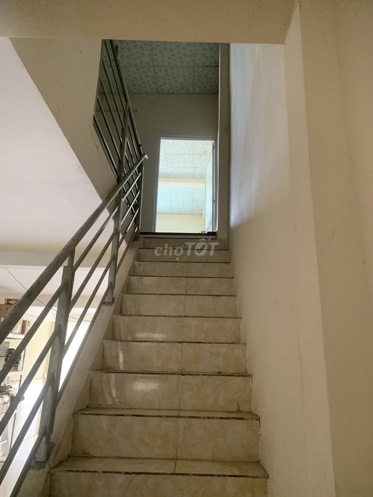 3878115 ảnh đại diện 1