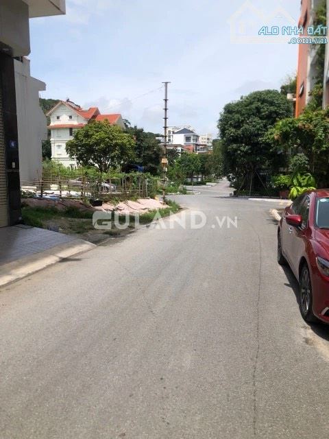 3875481 ảnh đại diện 1