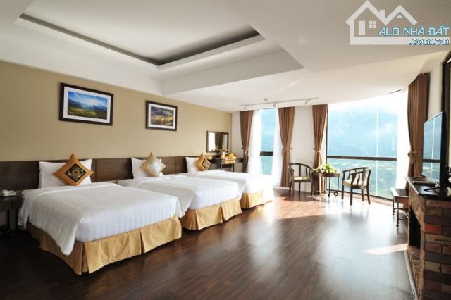 3874989 ảnh đại diện 1