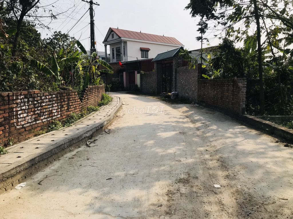3875689 ảnh đại diện 1