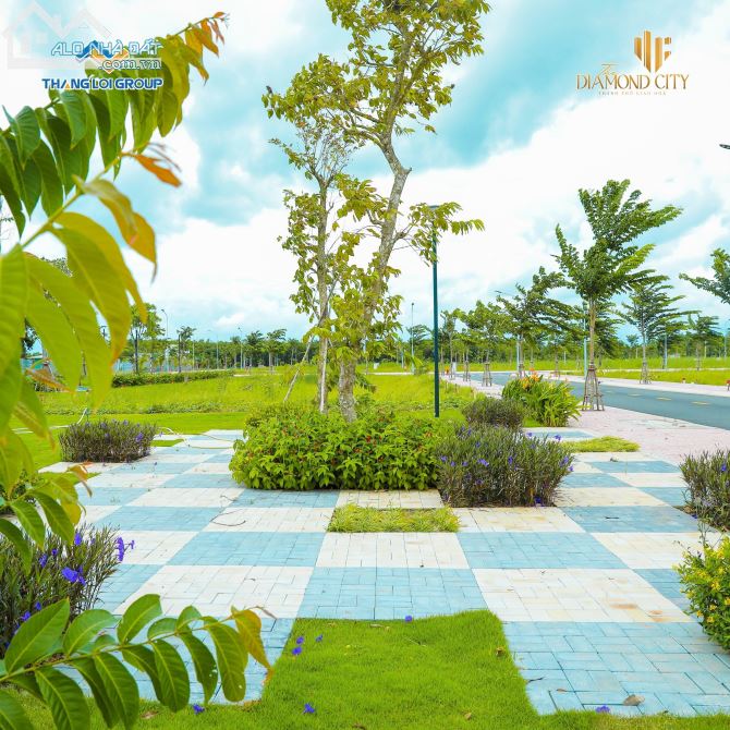 3879596 ảnh đại diện 1