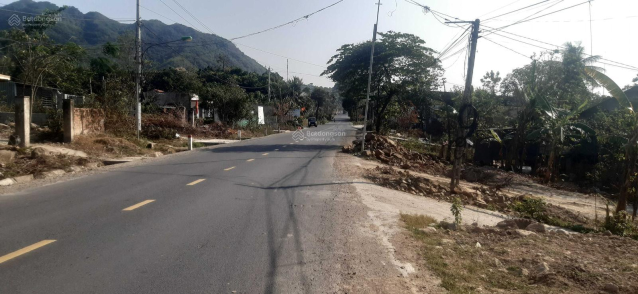 3881362 ảnh đại diện 1