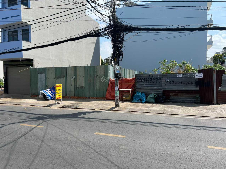 3879442 ảnh đại diện 2