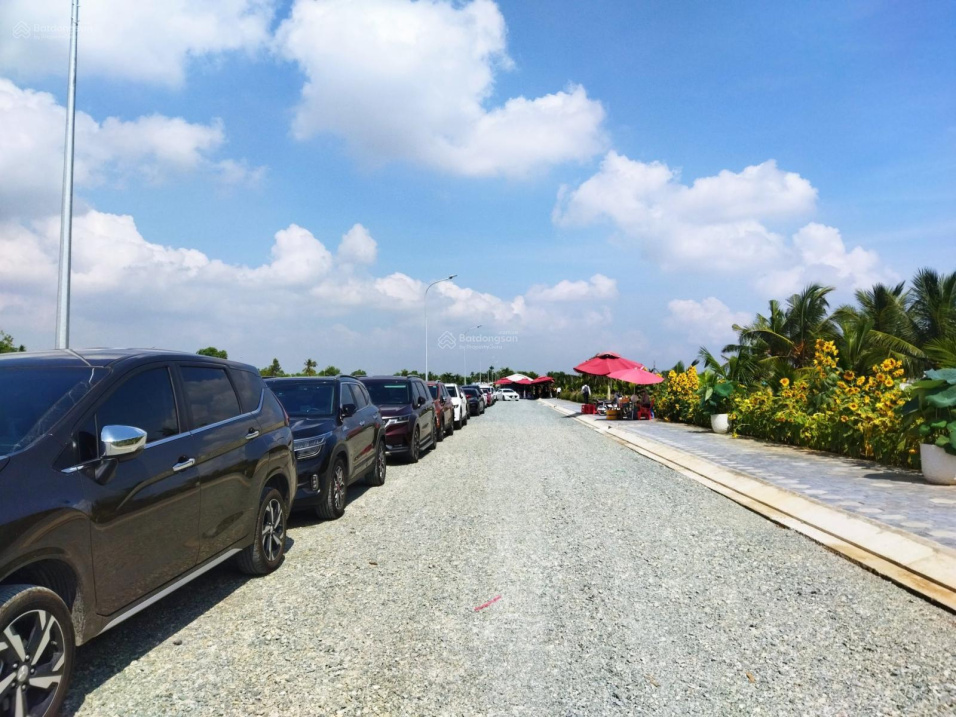 3879685 ảnh đại diện 1