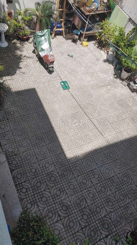 3882219 ảnh đại diện 1