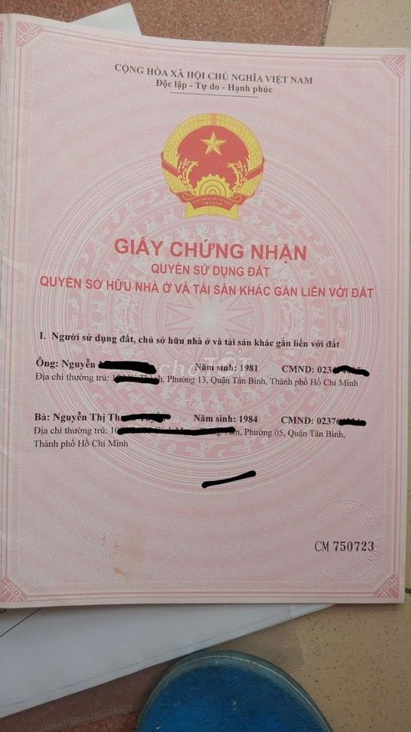 3882219 ảnh đại diện 2
