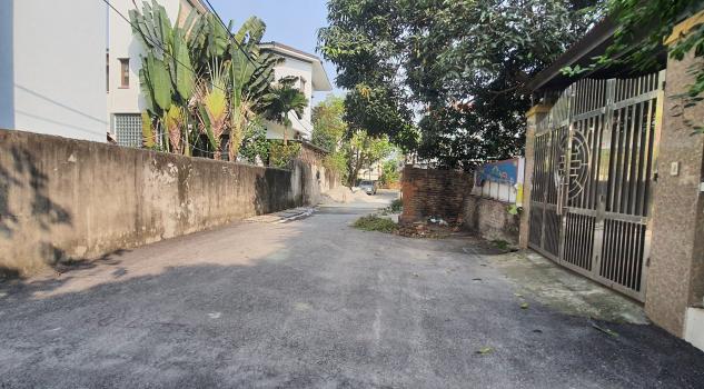 3885378 ảnh đại diện 1