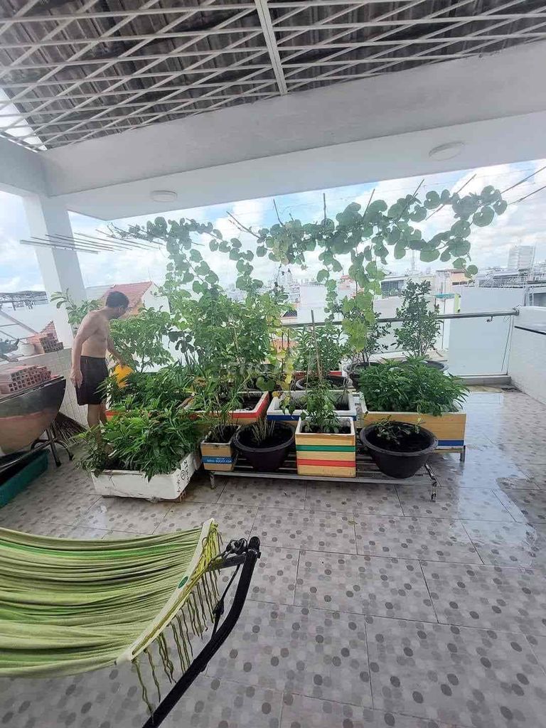 3882661 ảnh đại diện 1