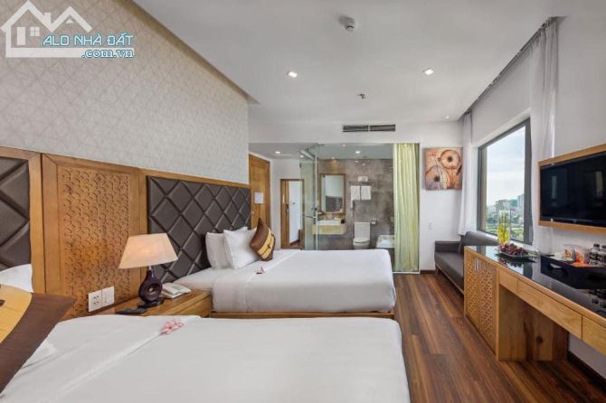 3883091 ảnh đại diện 1
