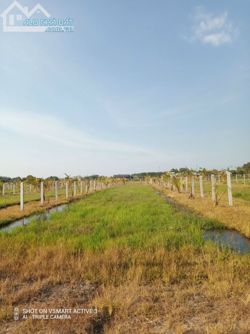 3885591 ảnh đại diện 2