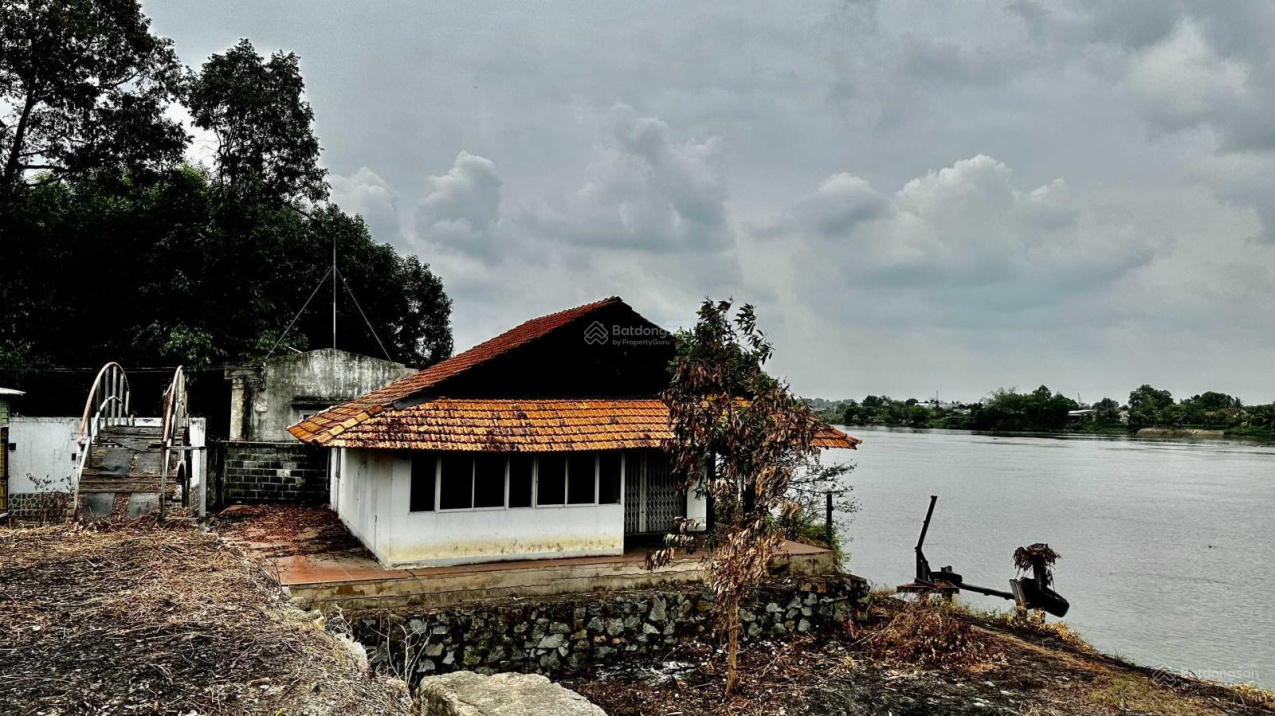 3884685 ảnh đại diện 2