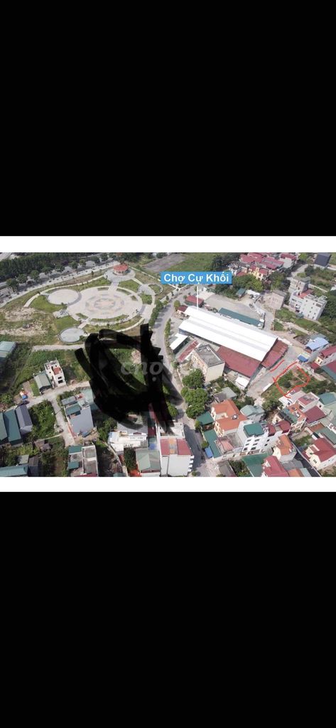 3884670 ảnh đại diện 2