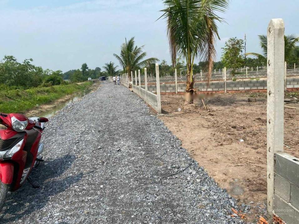 3886438 ảnh đại diện 1