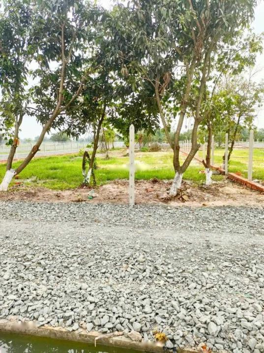 3886438 ảnh đại diện 1