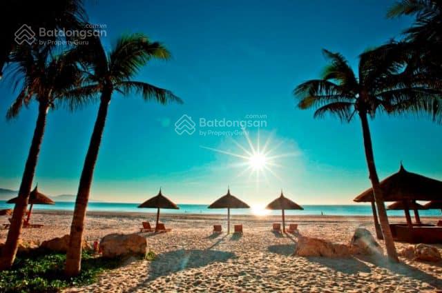 3889949 ảnh đại diện 1